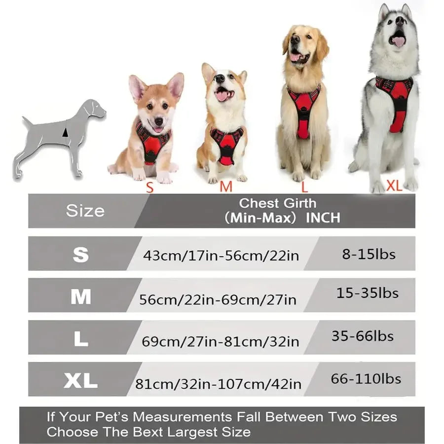 Stylish Dog Adventure Set