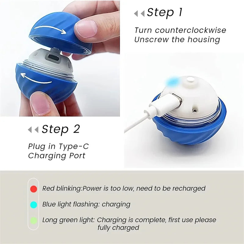 Puppy Play Magic Ball