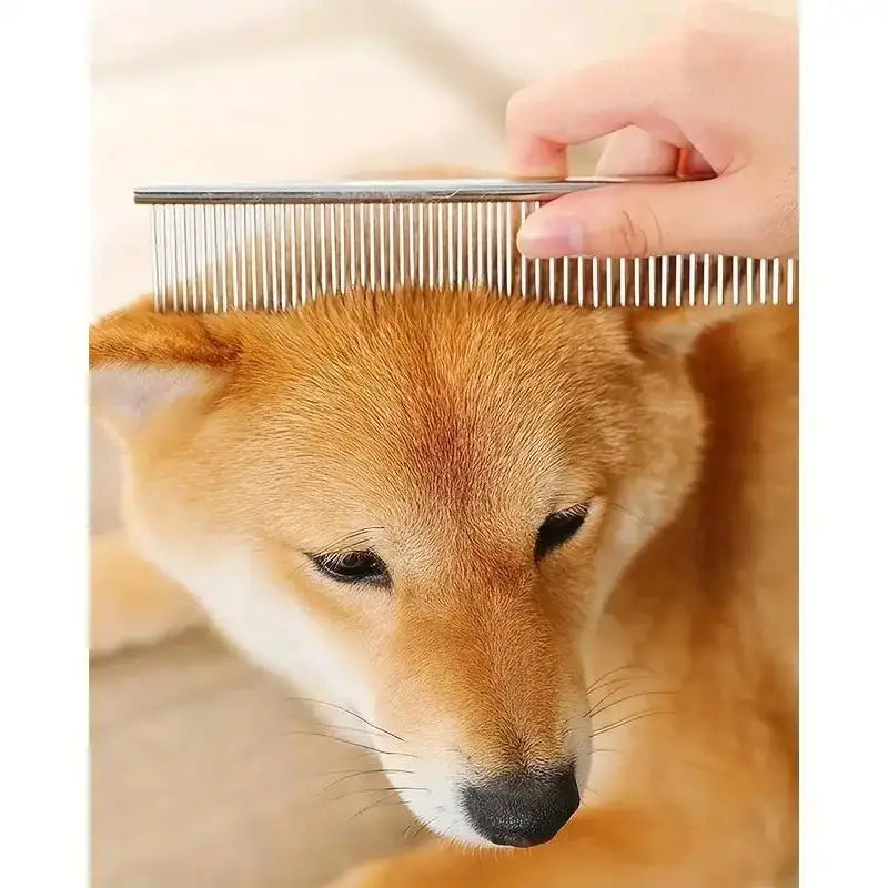 Pet Grooming Shears Set