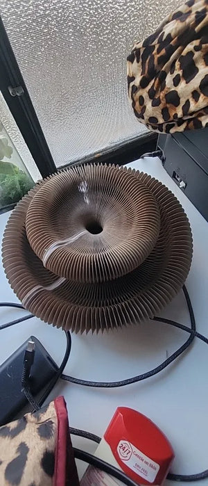 A8f8b3ea09bf643f2921fdcbefdcc08d2T.jpg