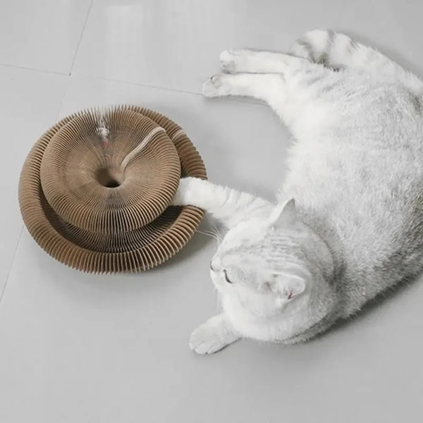 Kitty Kurlz Magic Scratcher