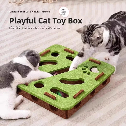 Whisker Wonder Cat Puzzle Box