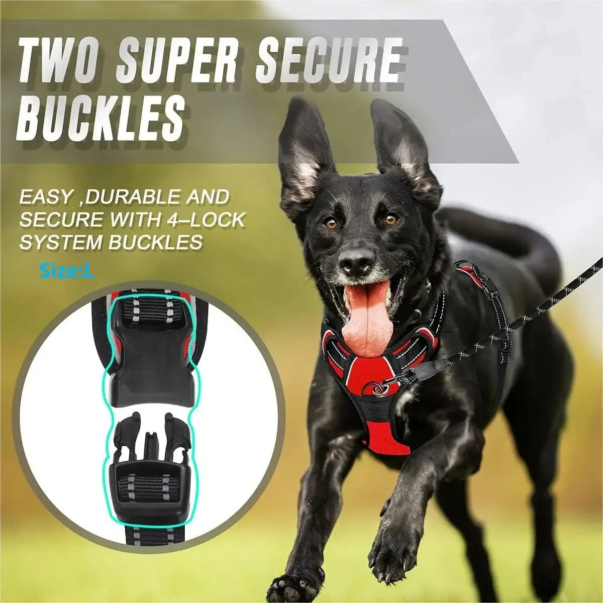Stylish Dog Adventure Set