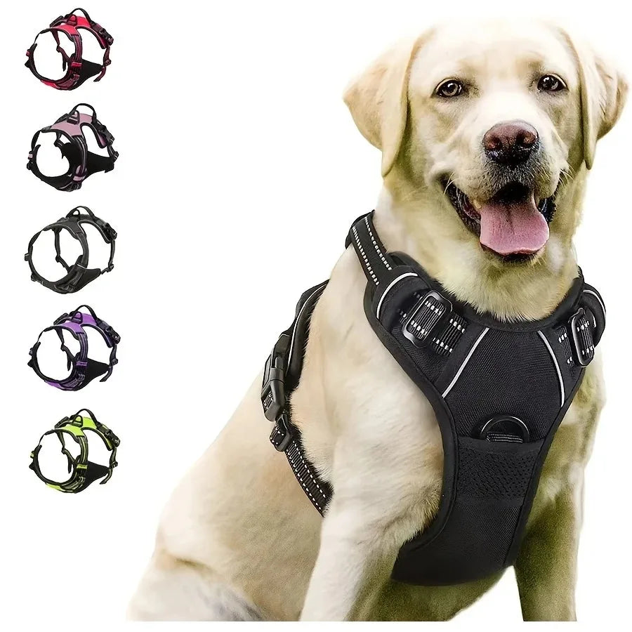 Stylish Dog Adventure Set