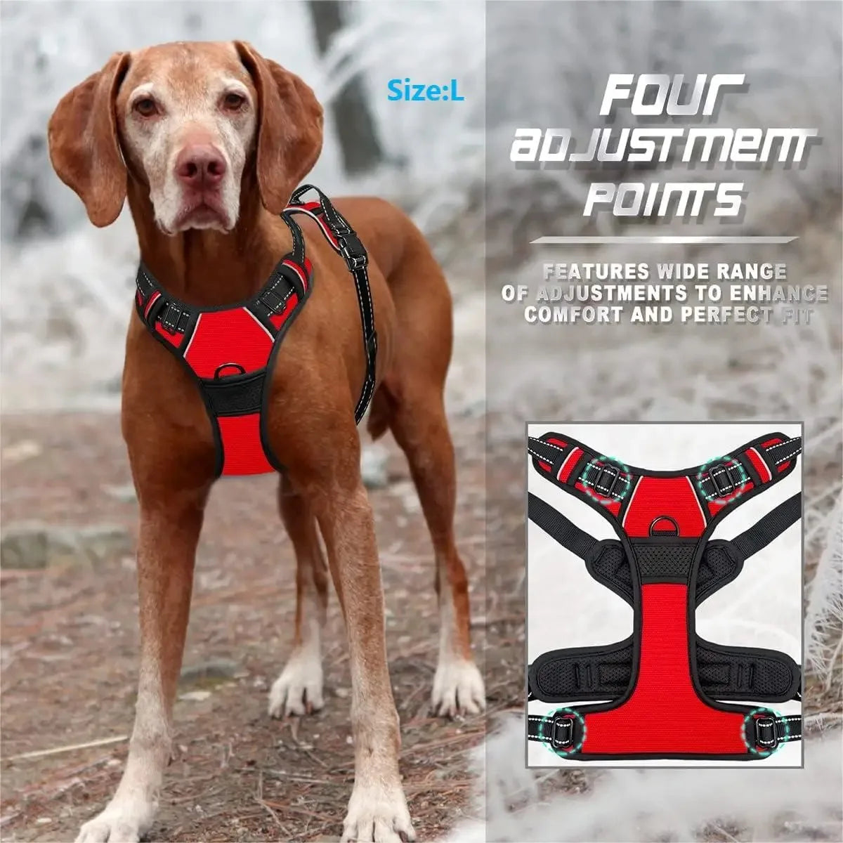 Stylish Dog Adventure Set