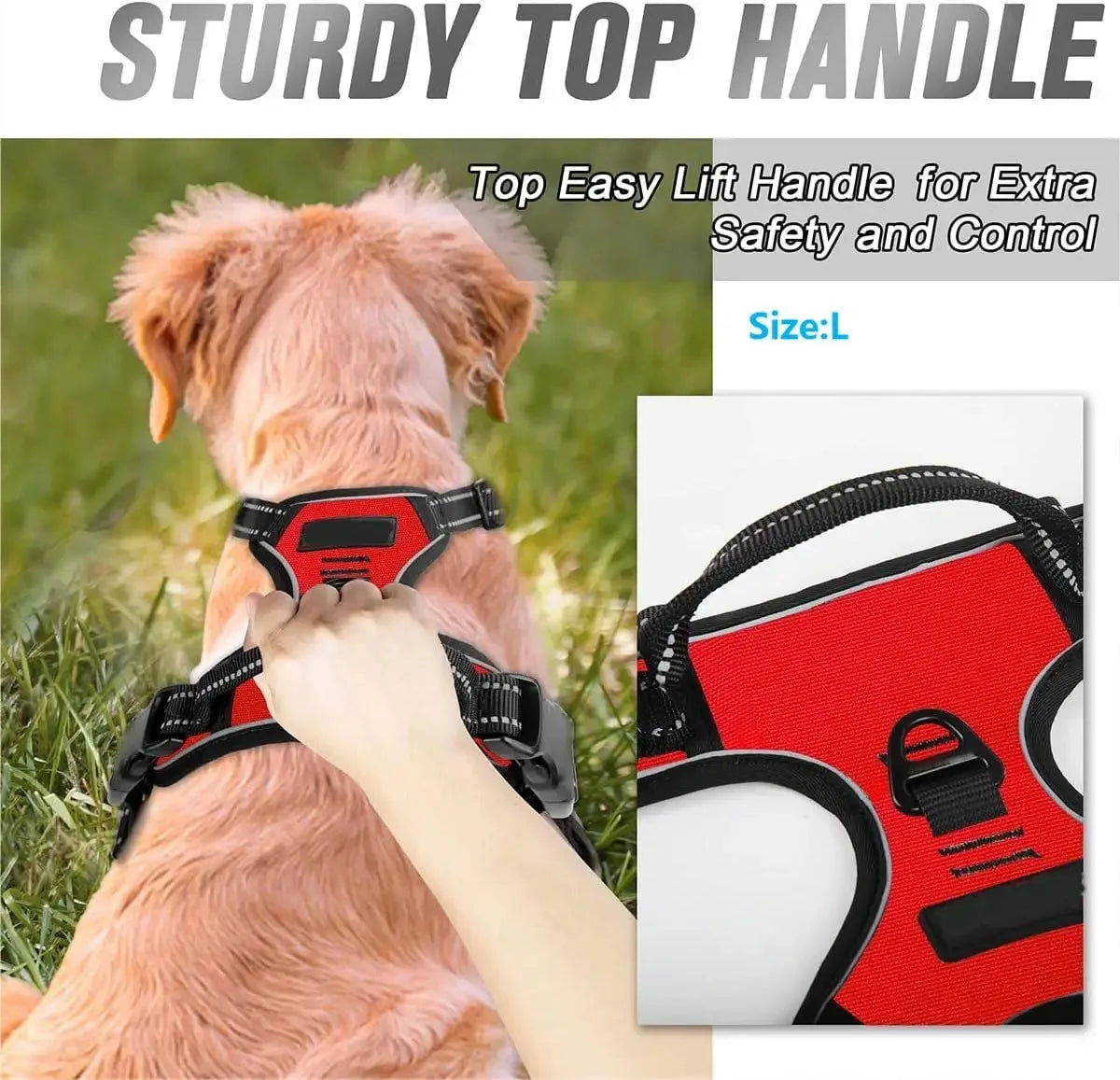 Stylish Dog Adventure Set