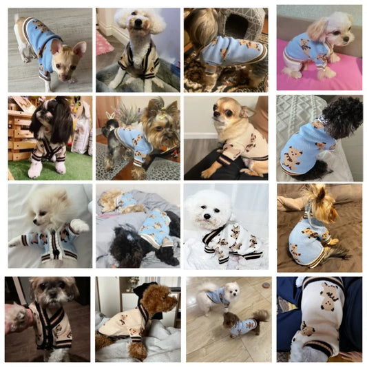 Chic Striped Pet Cardigan