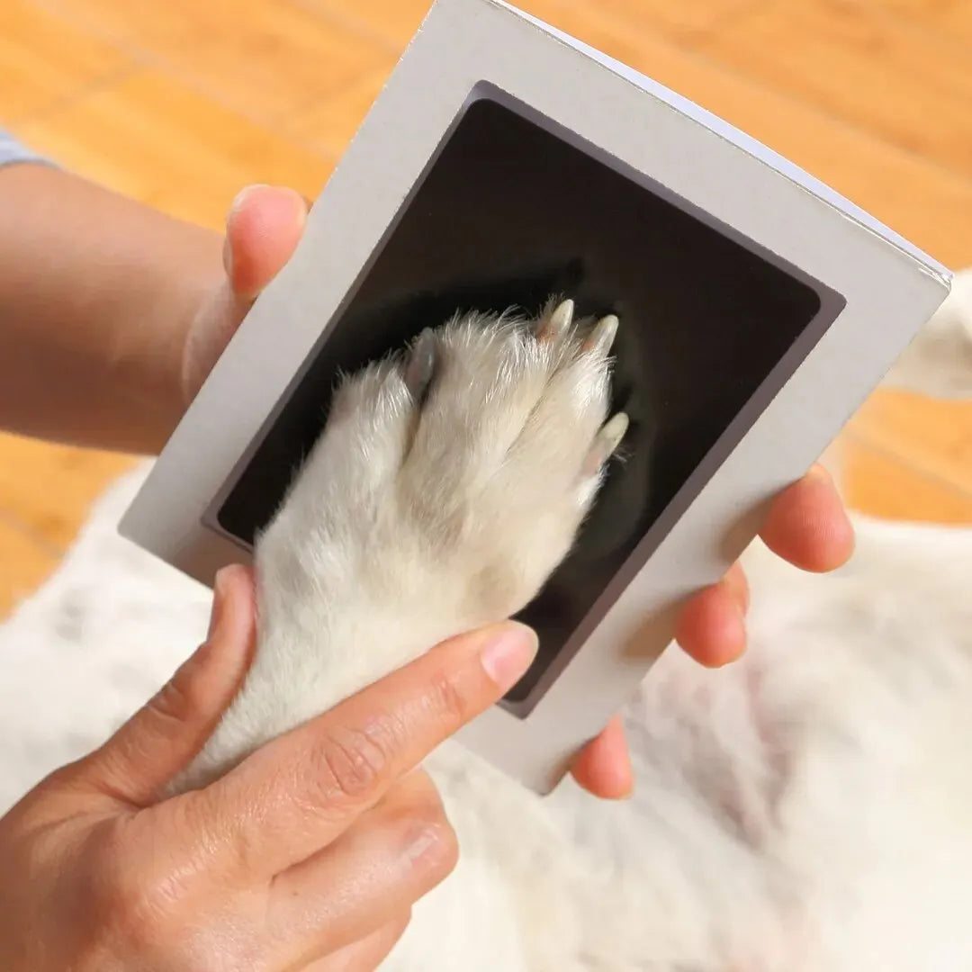 Pet Paw Print Keepsake Kit