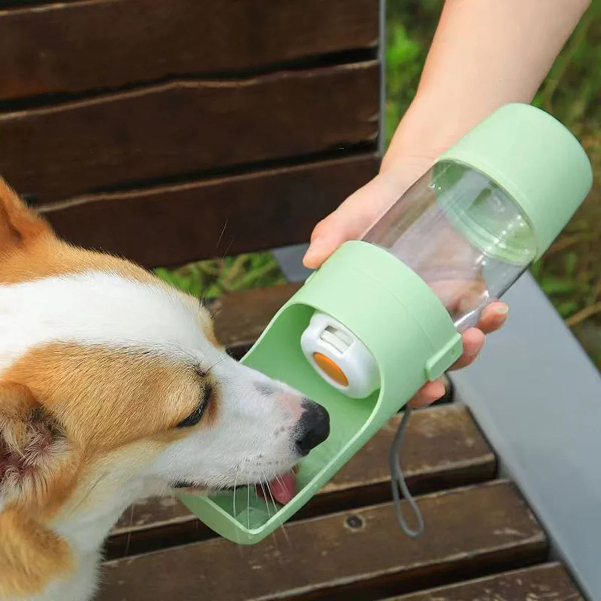 Portable Pet Hydration Station