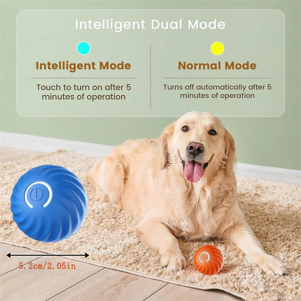 Puppy Play Magic Ball