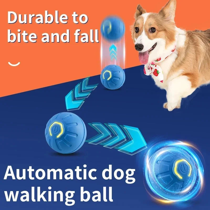 Puppy Play Magic Ball