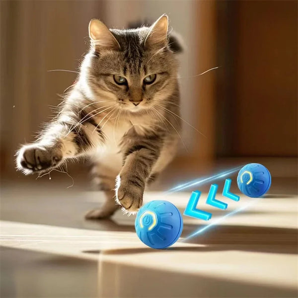 Smart-Dog-Toys-Ball-Electronic-Interactive-Pet-Toy-Moving-Ball-USB-Automatic-Moving-Bouncing-for-Puppy.jpg
