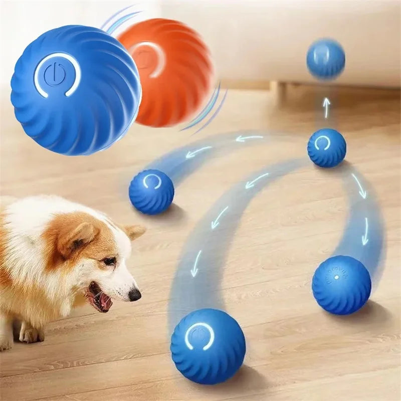 Puppy Play Magic Ball